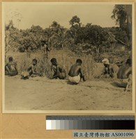 藏品(實驗農場)的圖片